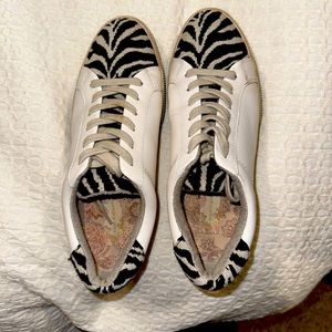 Band of Gypsies Starry Zebra Sneakers.